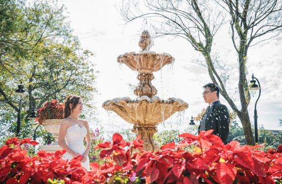 Victoria Peak Garden